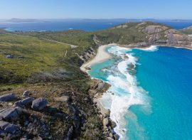 Interior Decorators in Albany