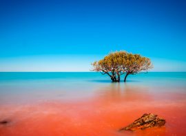 Interior decorators in Broome