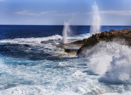 Painters in Carnavon region